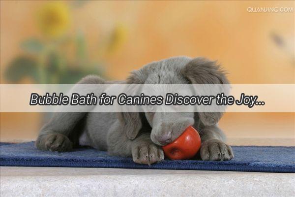 Bubble Bath for Canines Discover the Joy of Doggy Bubble Baths